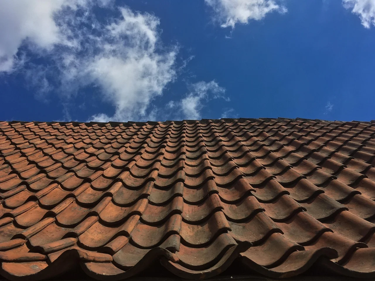 Dachy dla domów, firm i rolników – https://aldach.pl/uslugi/